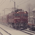 写真: 雪の中を行く奥羽本線629レ