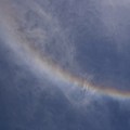 またも彩雲状暈雲　2009.5.20  12h35mi(3)