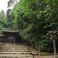 写真: 賀茂別雷神社 (上賀茂神社)