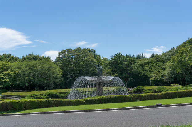 写真: 【昭和記念公園(カナールの噴水】