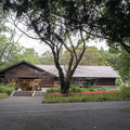 写真: 昭和記念公園【こもれびの家付近：ヒガンバナ】1