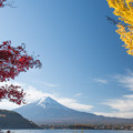 河口湖【富士山と紅葉】1