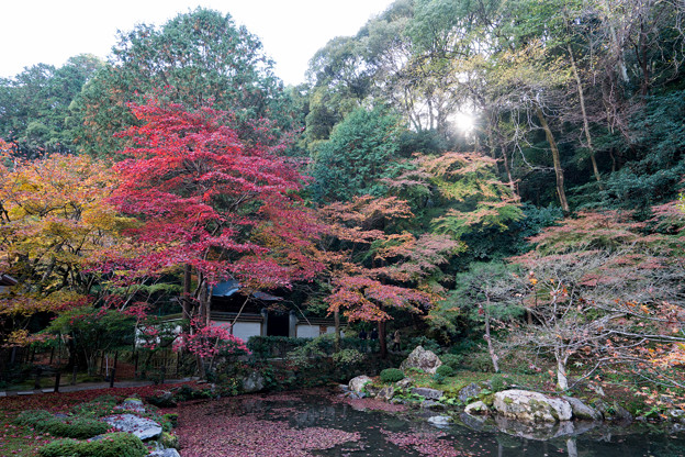 写真: 06京都の紅葉【南禅寺：南禅院】1