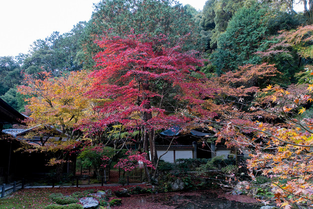写真: 07京都の紅葉【南禅寺：南禅院】2