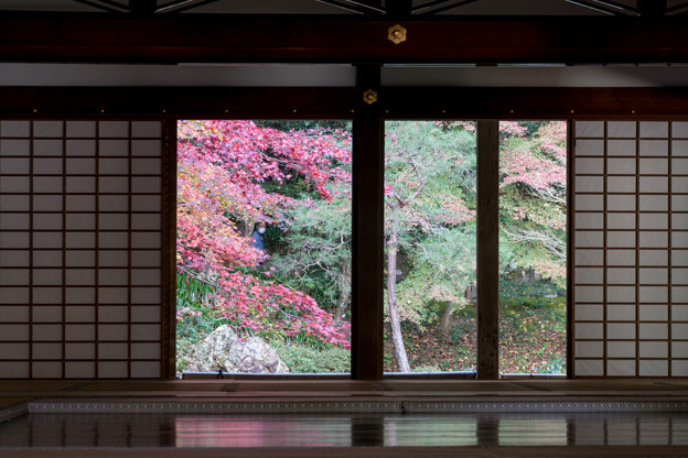 写真: 09京都の紅葉【南禅寺：南禅院】4