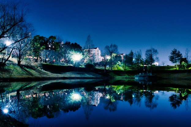 写真: 上の池の夜