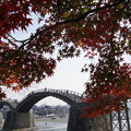 写真: 岩国・錦帯橋界隈で紅葉狩り