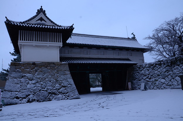 写真: 佐賀城鯱の門
