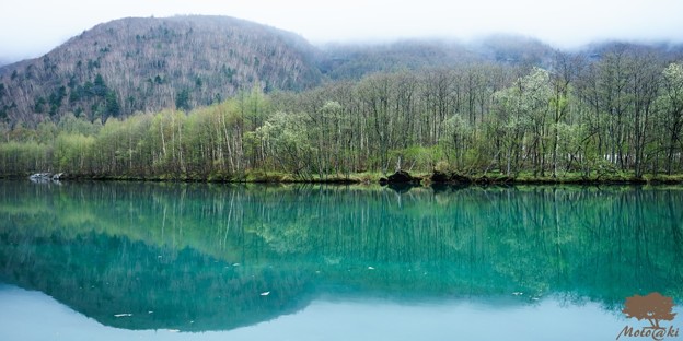 写真: 翡翠色の池