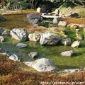 写真: IMG_2311城南宮・神苑 源氏物語花の庭・平安の庭