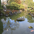写真: IMG_2339城南宮・神苑 源氏物語花の庭・室町の庭