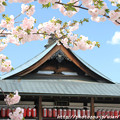 写真: IMG_3681千本ゑんま堂（引接寺）・普賢象桜と本堂