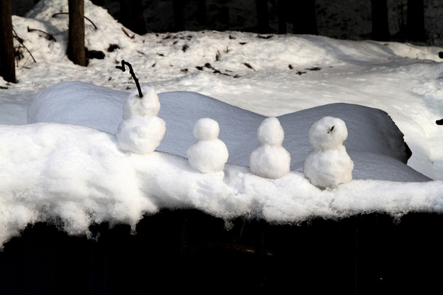 写真: 四個小雪人