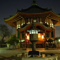 写真: 夜の興福寺　南円堂