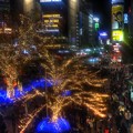 Photos: 渋谷のイルミネーション