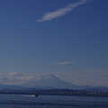 写真: 富士山　江の島より望む