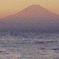 相模湾から富士を望む