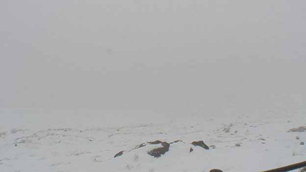 写真: 雪のえびの高原７