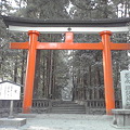 写真: 狭野神社へ。お参りをしてきました。
