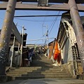 写真: 金刀比羅宮・階段