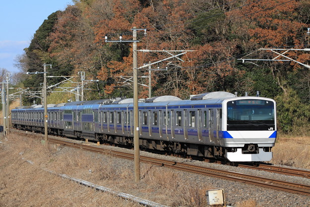 写真: 常磐線 E531系 普通列車