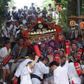 写真: 布川神社臨時大祭一日目　神輿渡御