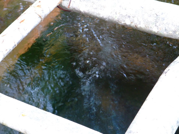 写真: 会津大塩の炭酸泉