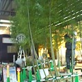 Photos: 烏丸京都ホテルが改装中。スタバの前に竹がいっぱいでびっくりw(゜o゜)...