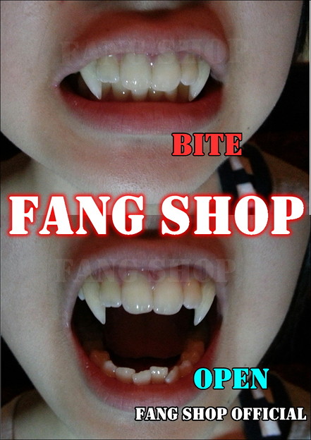 FANG SHOP 付け牙 N-2060