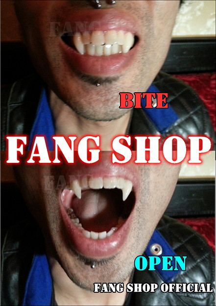 FANG SHOP 付け牙 N-2093