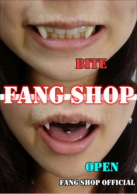 FANG SHOP 付け牙 N-2104