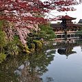 写真: 004_平安神宮庭園