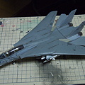 F-14(2)