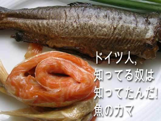 2555_fish