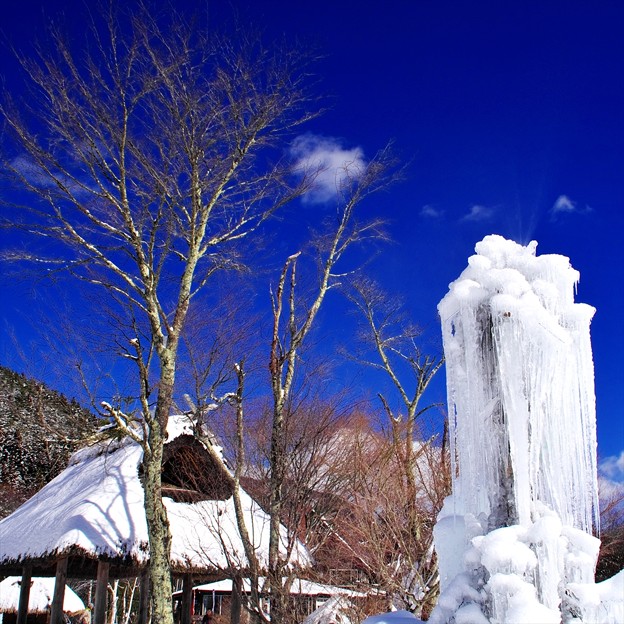 写真: ２０１５富士山麓　冬４８「樹氷祭り」