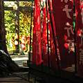 写真: 鎌倉 八雲神社