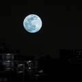 Photos: Tokyo landscap…a night full moon…