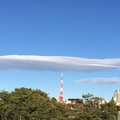 東京タワーの上にジンベエ鮫の親子雲が泳いでる様