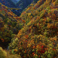 写真: 秋色の渓谷