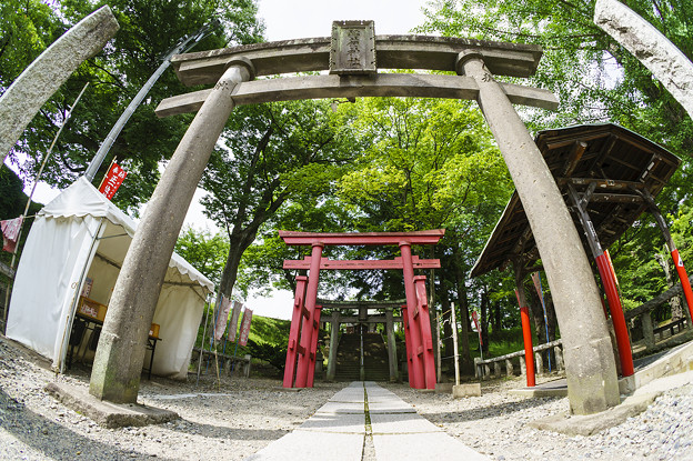 写真: 鶴ヶ城稲荷神社