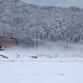 写真: 雪原疾走。