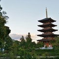 写真: 成相寺五重塔