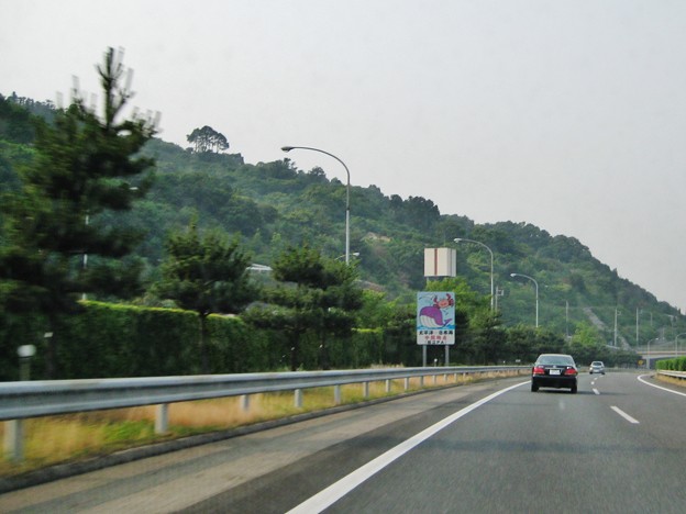 写真: 高速道のヘソ