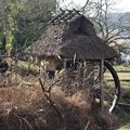 写真: 桐の木水車小屋