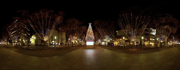 写真: 2011年11月25日　青葉シンボルロード　イルミネーション(５)　クリスマスツリー前 ３６０度パノラマ