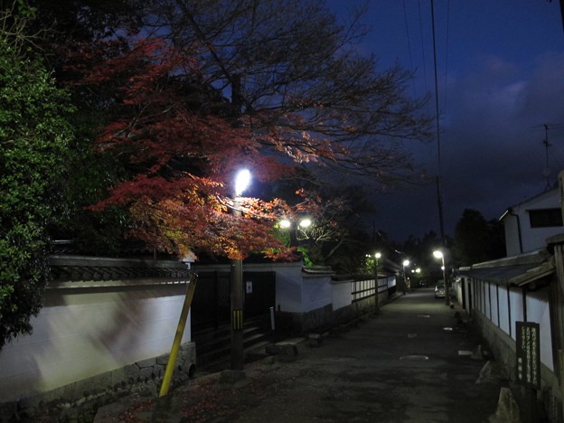 2011年12月4日　南禅寺　夜明け前の金地院付近