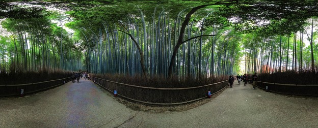 写真: 2011年12月5日　嵐山・竹林の小径 360°パノラマ写真