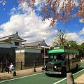 写真: 駿府城東御門と桜　(駿府浪漫バス)