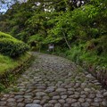 写真: 旧東海道　金谷の石畳(2)