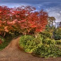 写真: 駿府城公園 紅葉山庭園の紅葉　360度パノラマ写真（５）